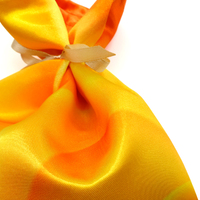 AR-300224-L-1520