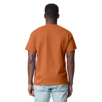 AR-GI2000to3XL