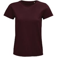 G-03579146XXL