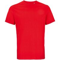 G-03981161XXL