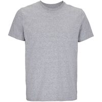 G-039813504XL