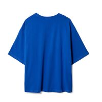 G-16900.441