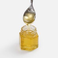 G-19686.04