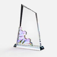 G-21231.00