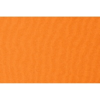 OA-3100533DXL_v2