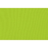 OA-3101168L_v2
