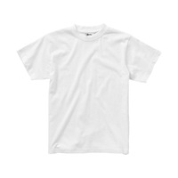 OA-33S0501.6