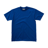 OA-33S0647S