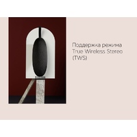 OA-595298