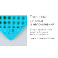 OA-595620p