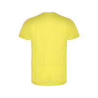 OA-6534CA2212XL