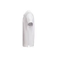 OA-6617PO01M