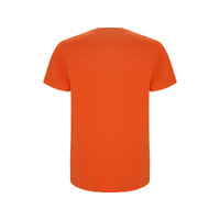 OA-6681312XL