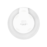OA-W3