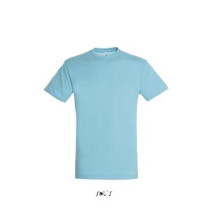 Фуфайка (футболка) REGENT мужская,Бирюзовый 3XL