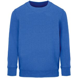 Свитшот детский Columbia Kids, ярко-синий (royal), на рост142-152
