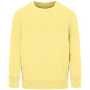 Свитшот детский Columbia Kids, светло-желтый, на рост 96-104