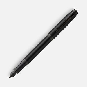 Ручка перьевая Parker IM Achromatic Black, черная