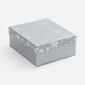 Коробка Wintry, серебристая