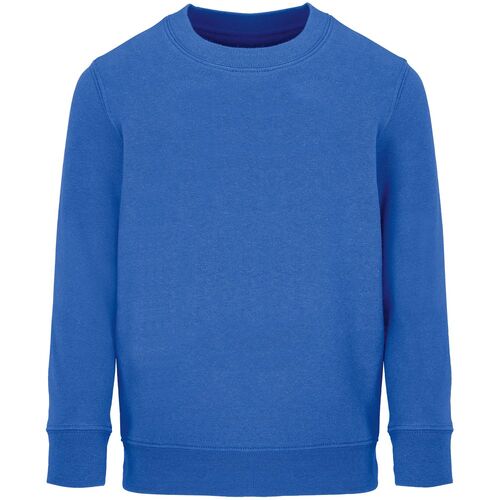 Свитшот детский Columbia Kids, ярко-синий (royal), на рост96-104