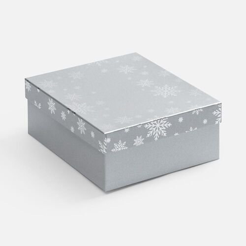 Коробка Wintry, серебристая